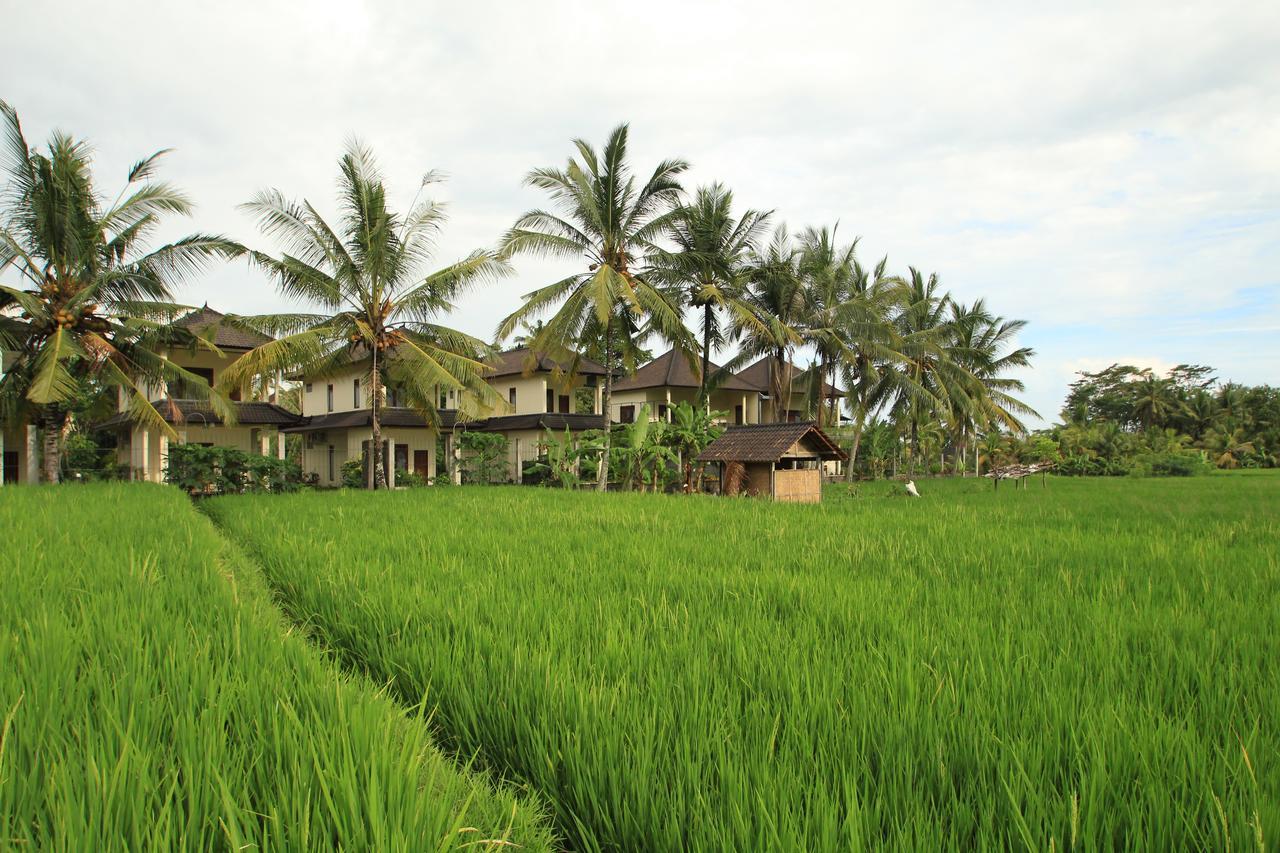 Uma Capung Mas Cottage Ubud Extérieur photo